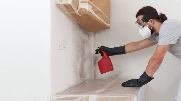 Professional Crawl Space Mold Remediation technician working in East Hanover, NJ