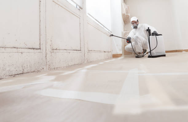 24/7 Emergency Crawl Space Mold Remediation experts in East Hanover, NJ